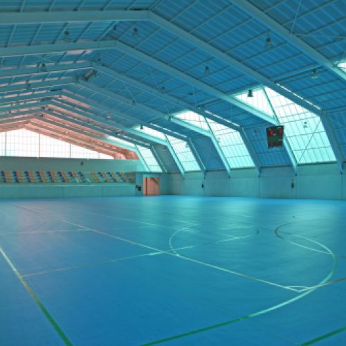 Polideportivo Universitario Mieres