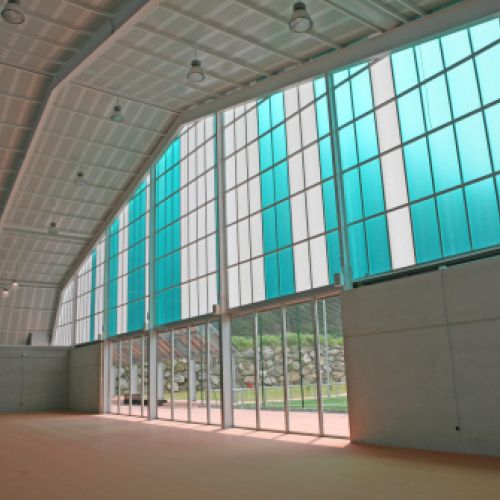 Polideportivo Universitario Mieres